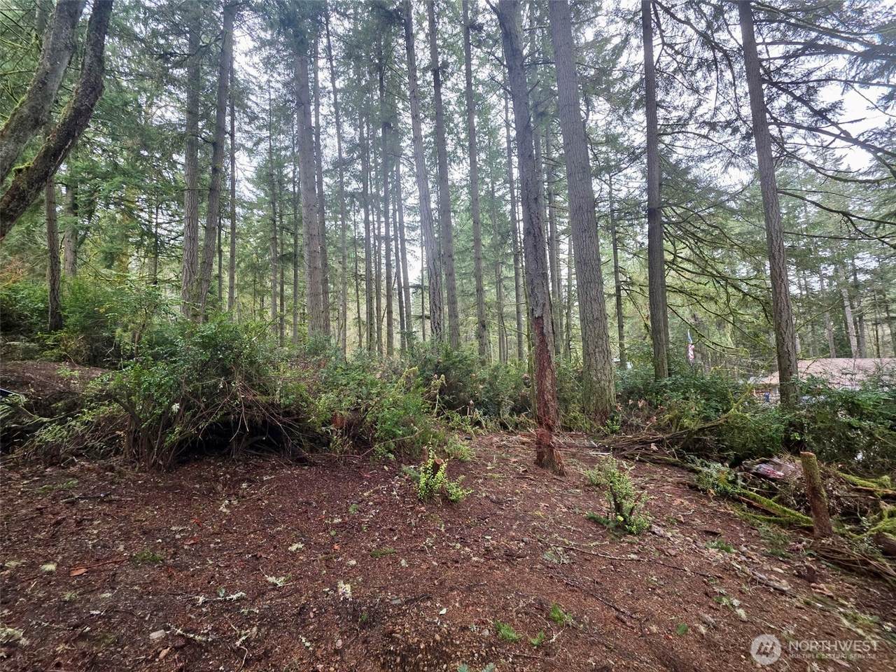 11312 Yoman Road - Photo 1