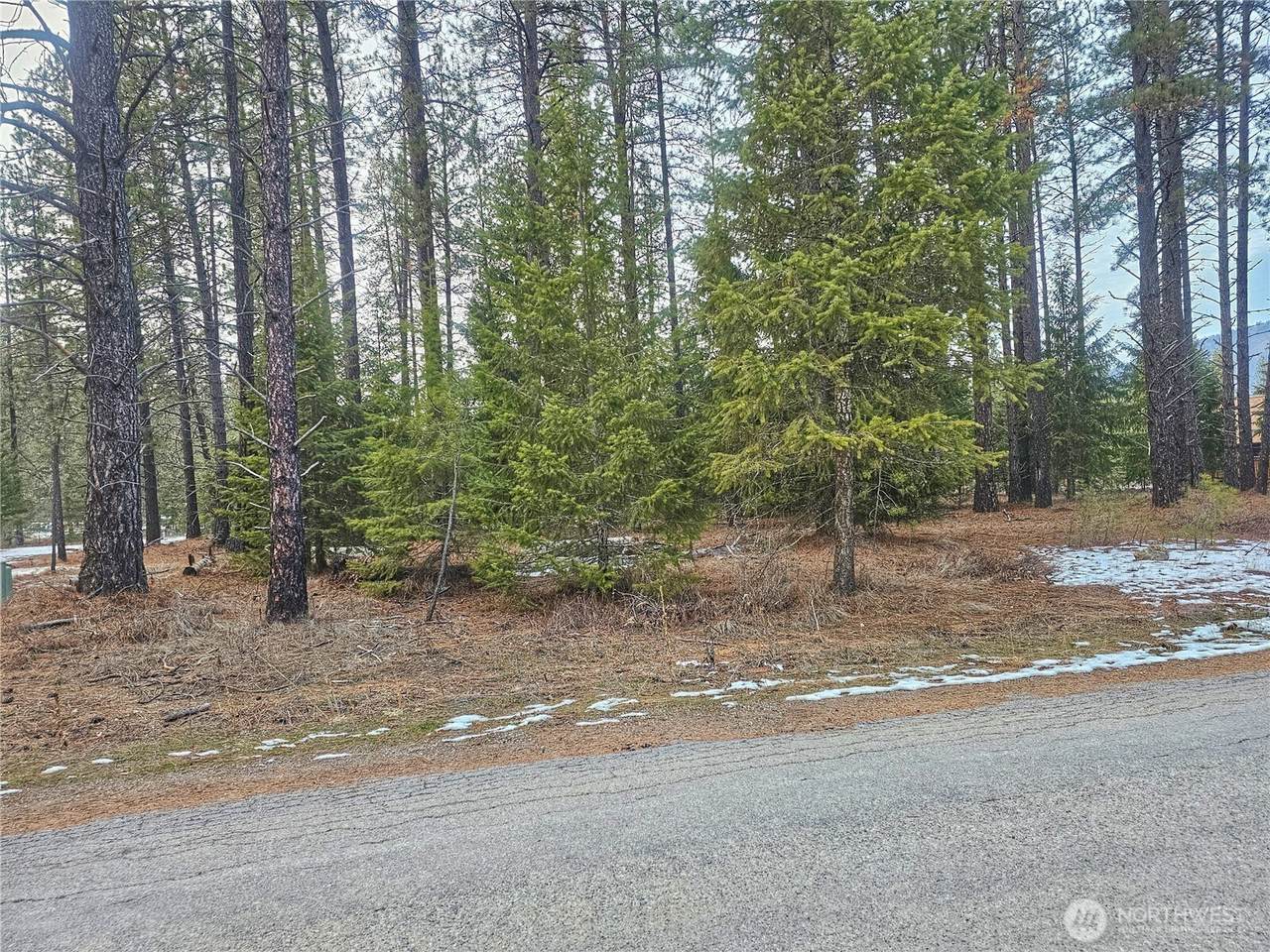 270 Eagle Dr - Photo 1