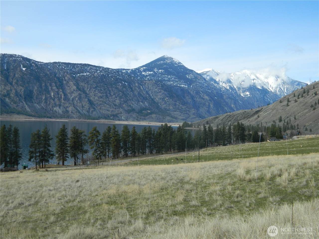0 Mule Deer Loop - Photo 1
