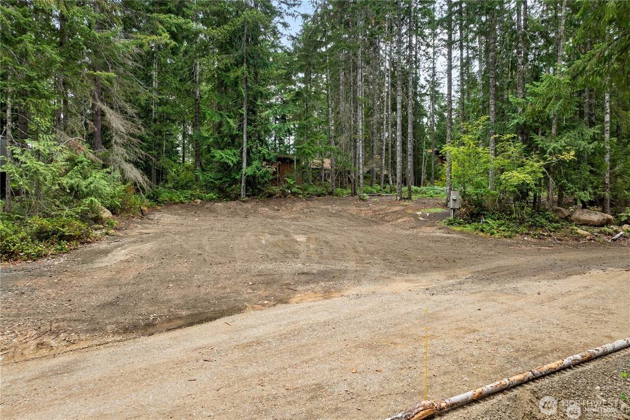 1291 Potlatch Drive - Photo 1