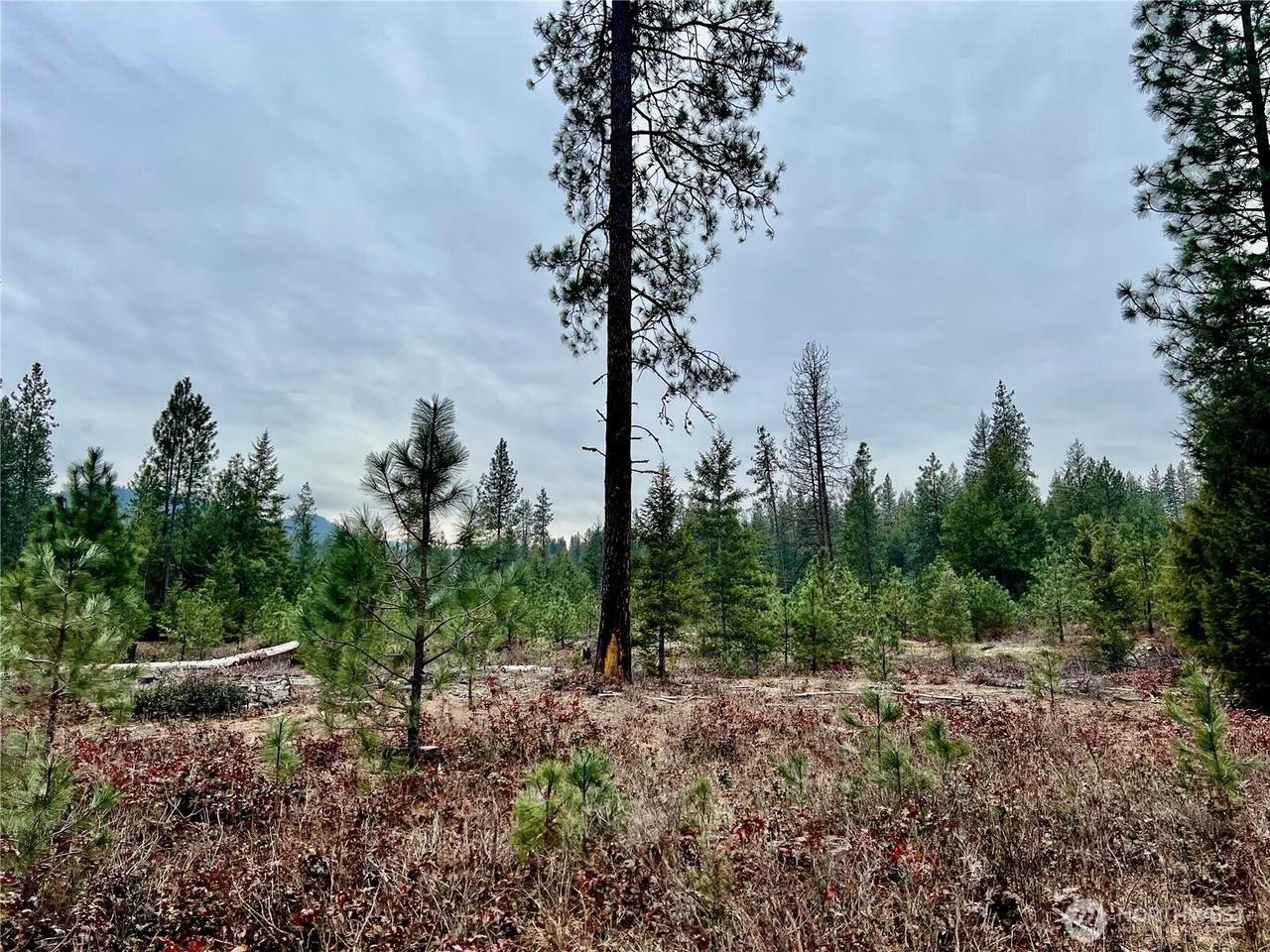 0 40TBD Hwy 25 - Photo 1