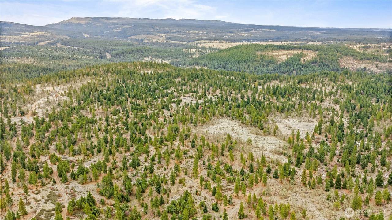 0 Satus Pass- Hwy 97 - Photo 1
