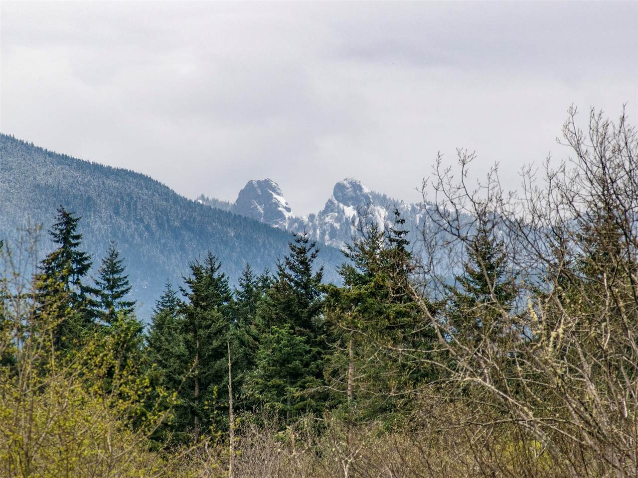 https://bt-photos.global.ssl.fastly.net/nwmls/1280_boomver_1_2476238-1.jpg