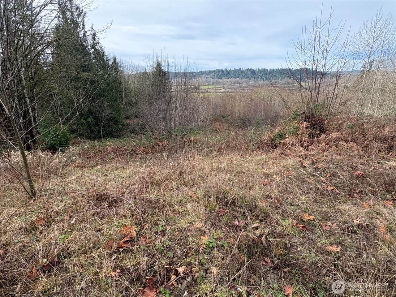 32950 70th Street - Photo 1