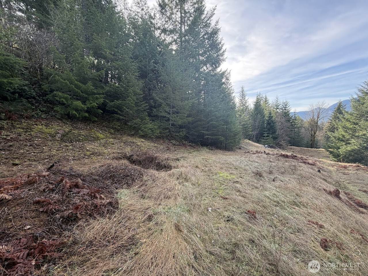 115 Ridge Lane - Photo 1