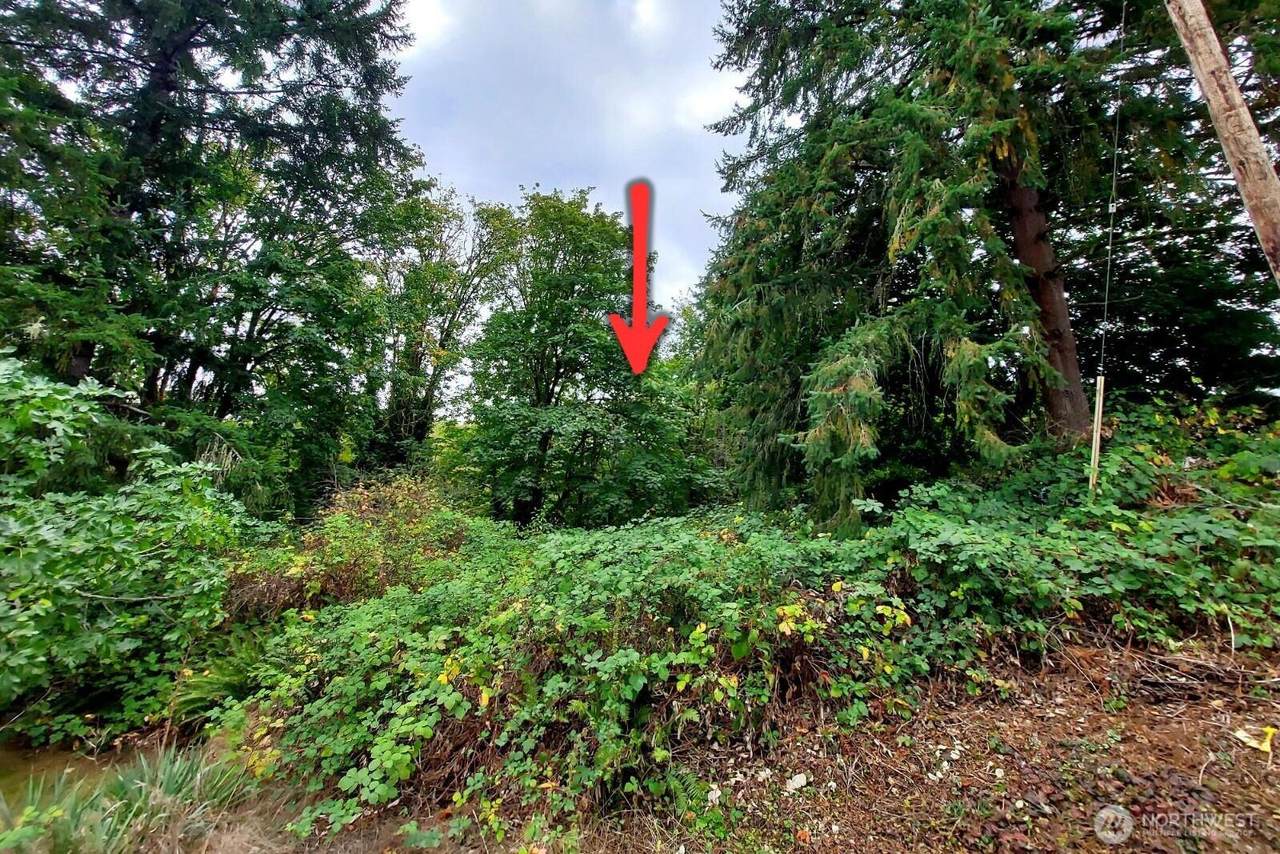 0 Lot C Melcher St - Photo 1