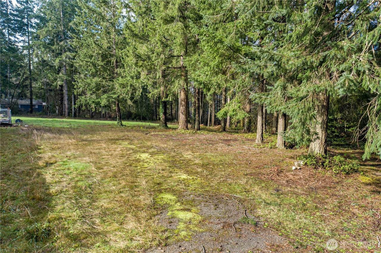 0 Satsop Avenue - Photo 1