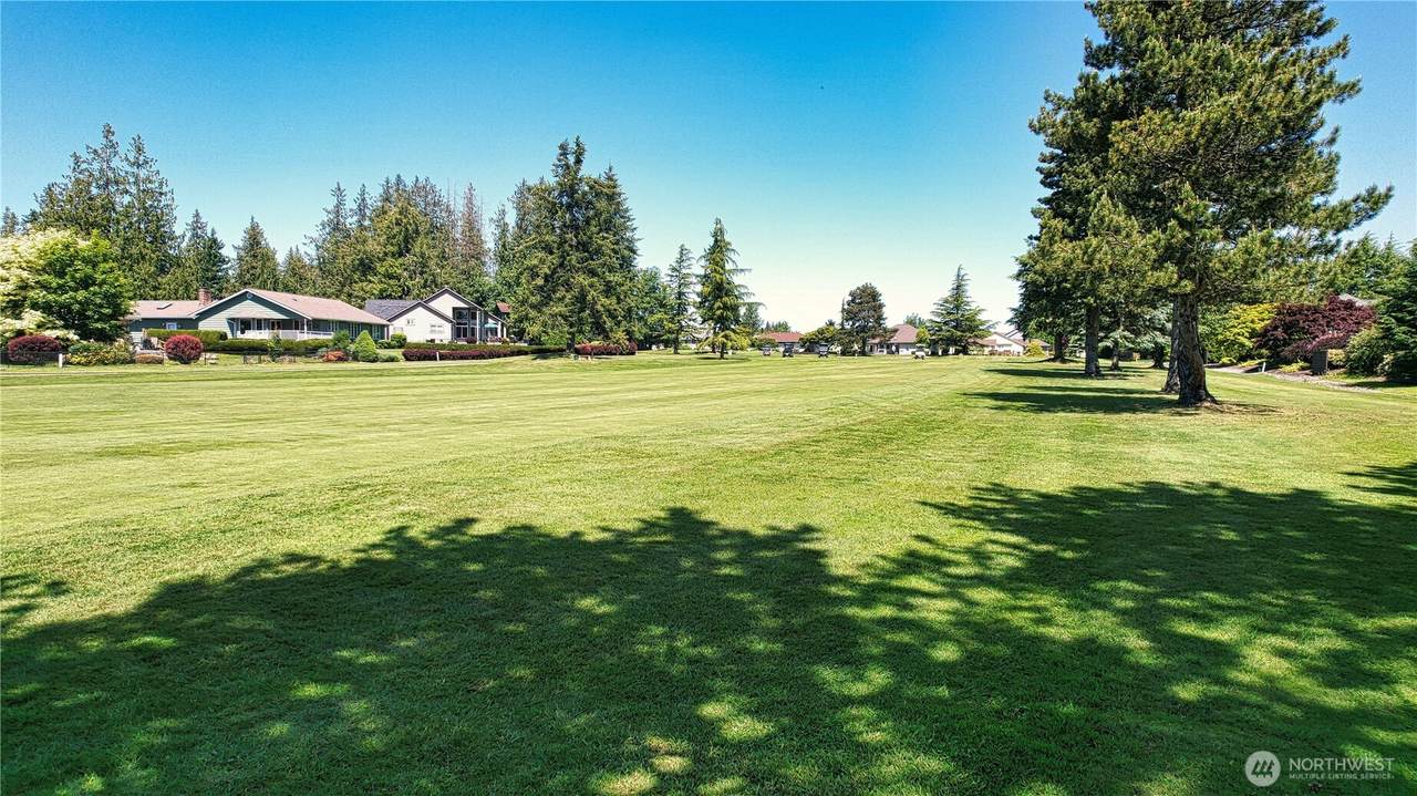 12454 Gwen Drive - Photo 1
