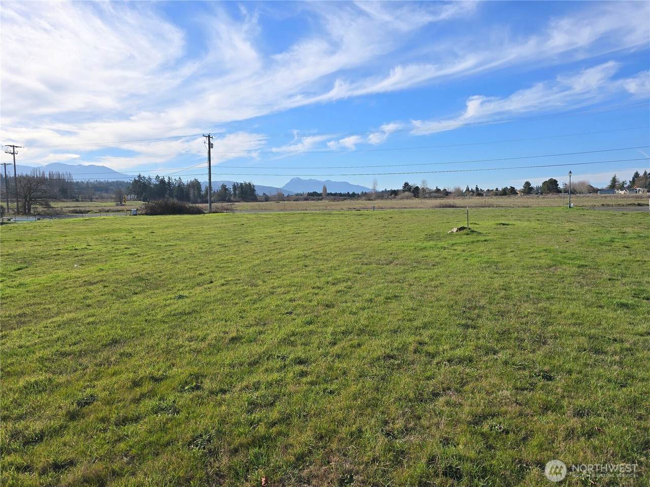999 Brown Road - Photo 1