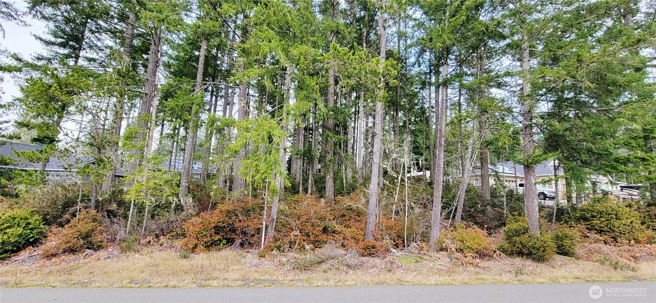 350 Vine Maple Lane - Photo 1