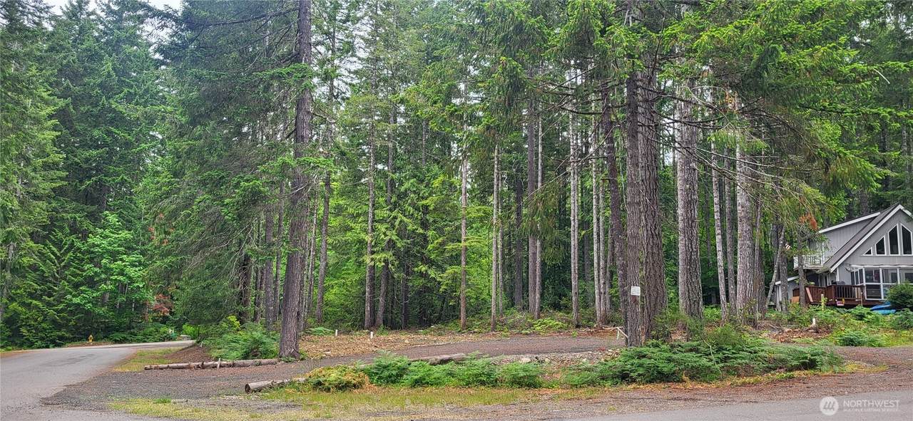0 Mt Jupiter Drive - Photo 1
