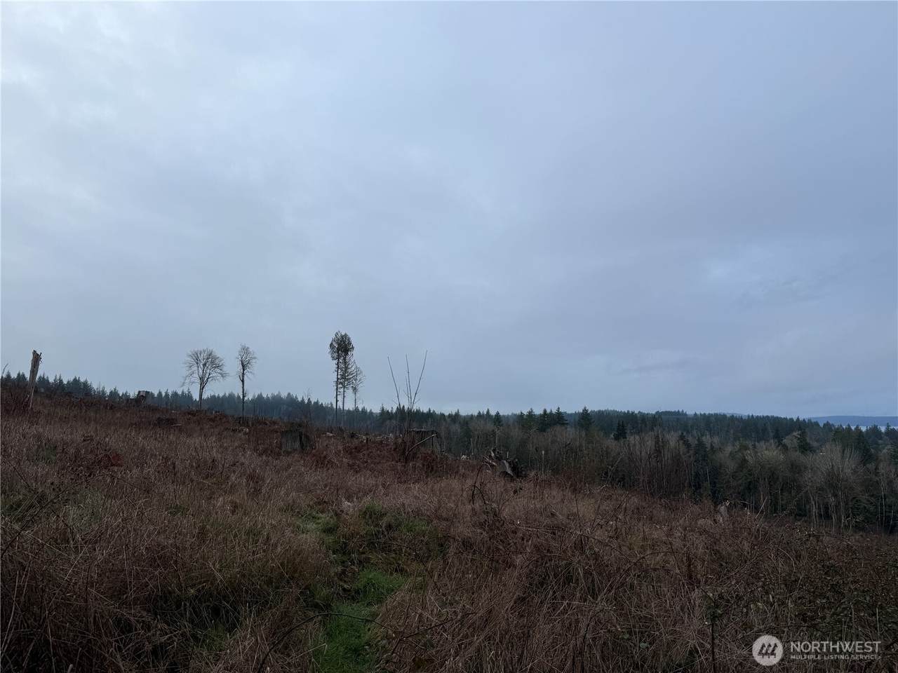 https://bt-photos.global.ssl.fastly.net/nwmls/1280_boomver_1_2480731-1.jpg