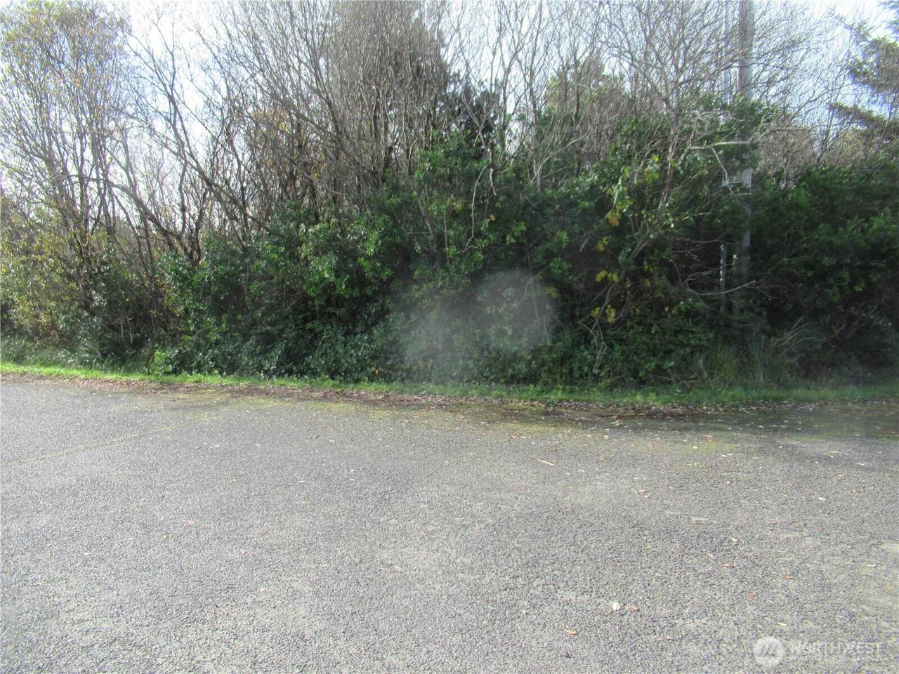 0 Driftwood Dr Drive - Photo 1