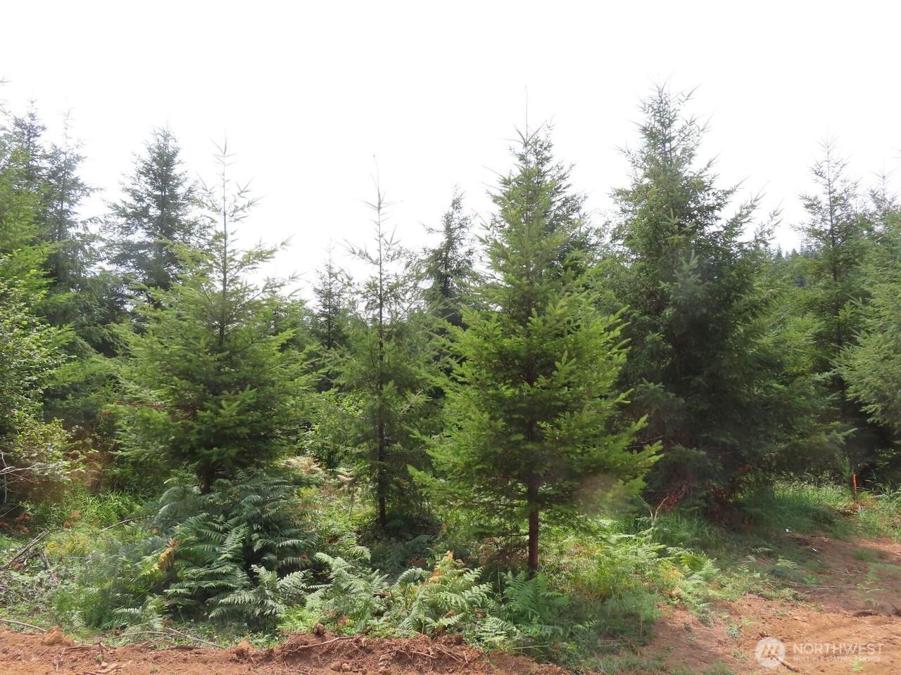 0 Lot D Mill Creek Lane - Photo 1