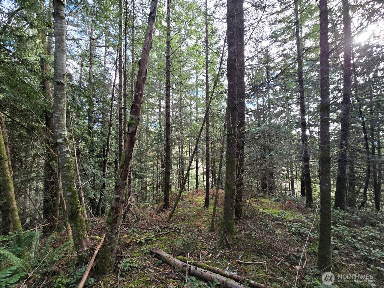 216 XX Bond Road - Photo 1