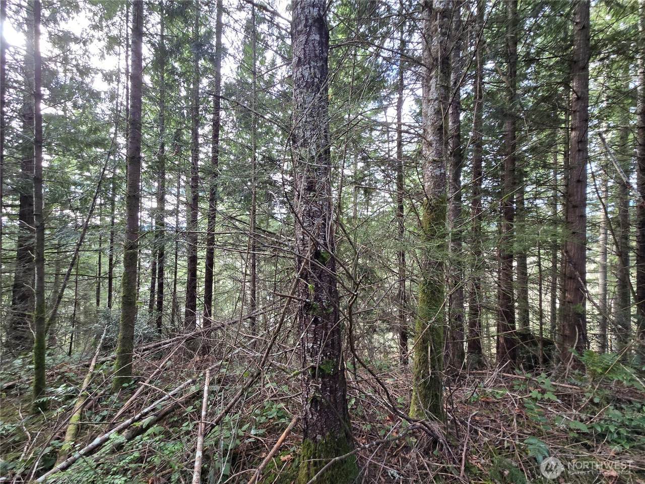 https://bt-photos.global.ssl.fastly.net/nwmls/1280_boomver_1_2481590-1.jpg