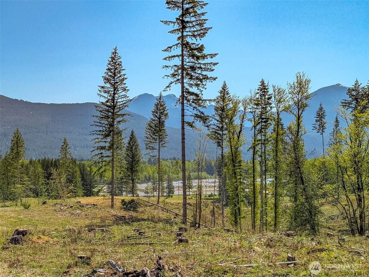 0 Craig Rd - Photo 1