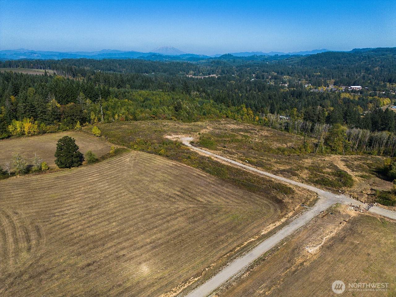 31807 122nd Avenue - Photo 1