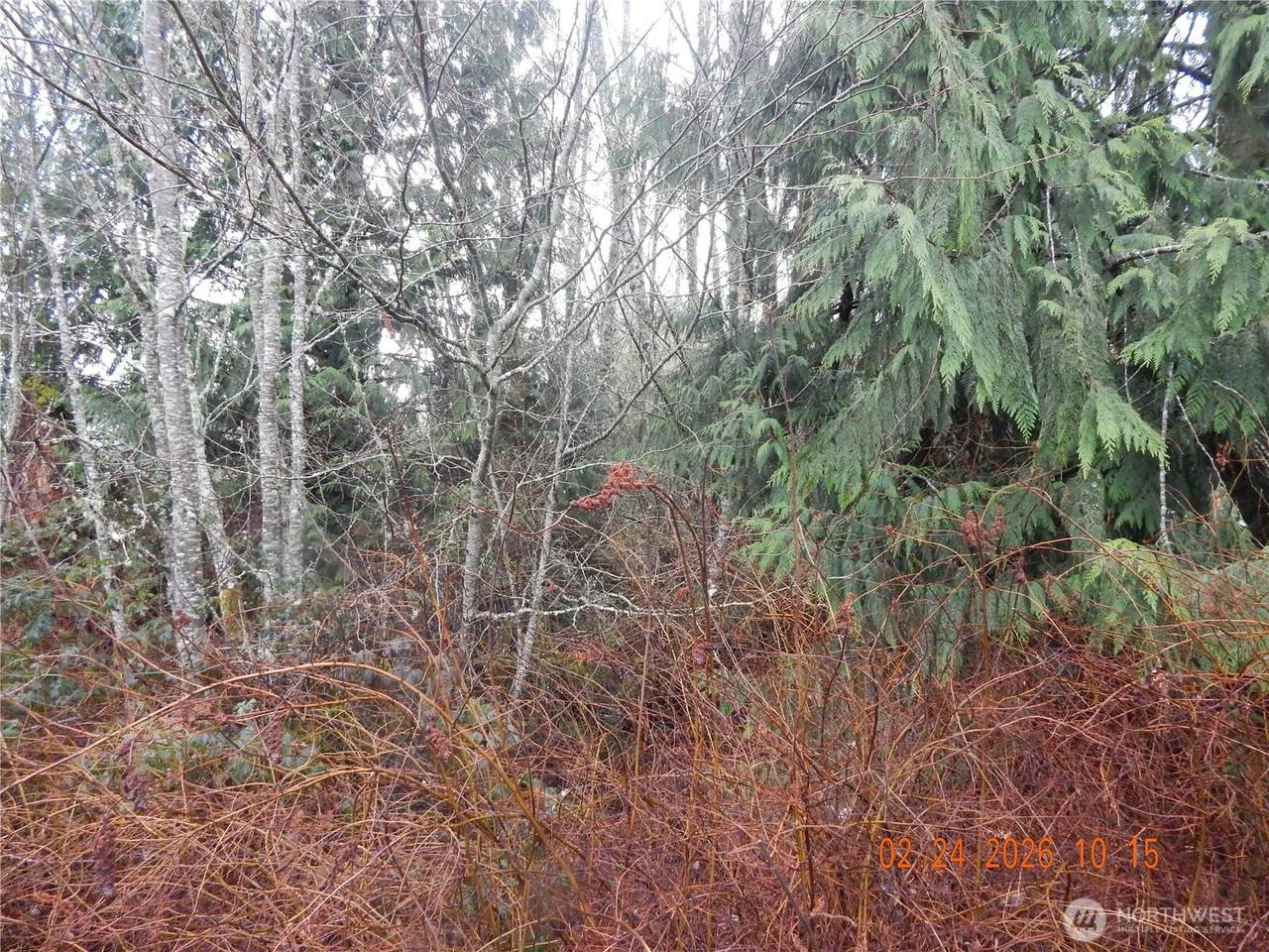 9999 Farrington Road - Photo 1