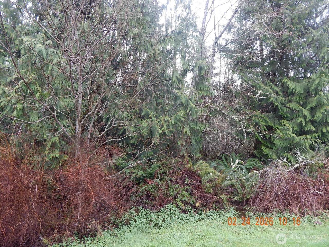 https://bt-photos.global.ssl.fastly.net/nwmls/1280_boomver_1_2482910-1.jpg