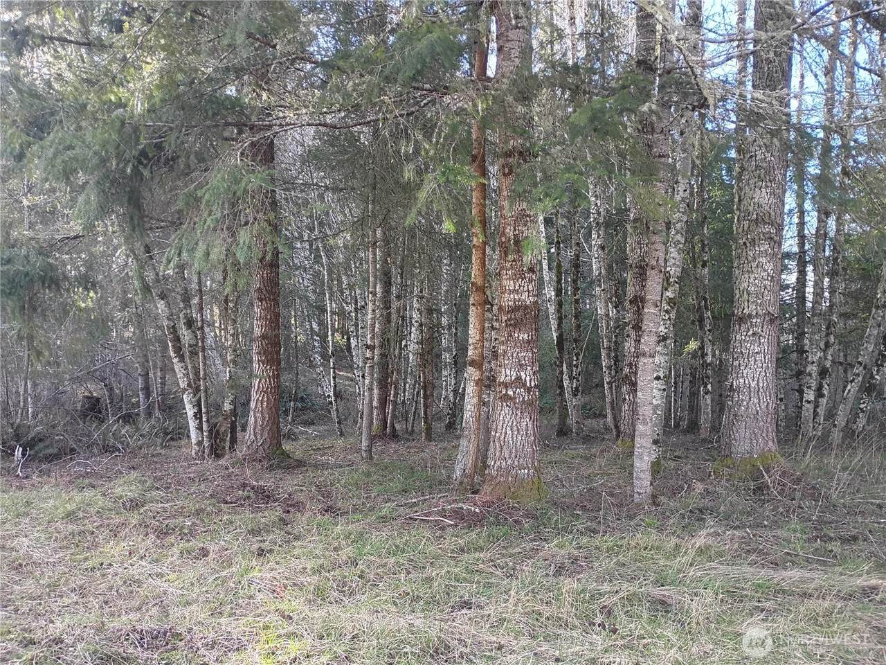 https://bt-photos.global.ssl.fastly.net/nwmls/1280_boomver_1_2482986-1.jpg