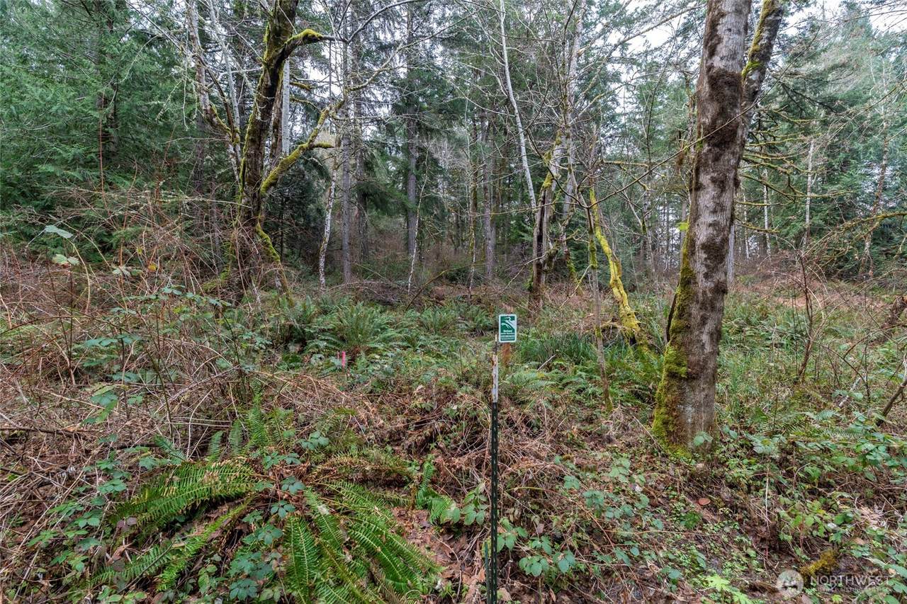 8900 Adams Lane - Photo 1