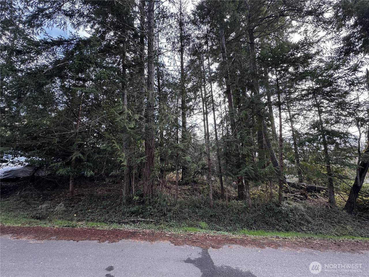 9810 Channel Drive - Photo 1