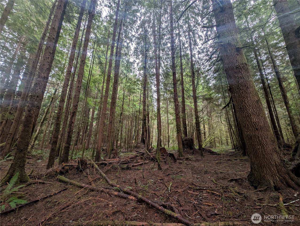 9991 Quillayute Road - Photo 1