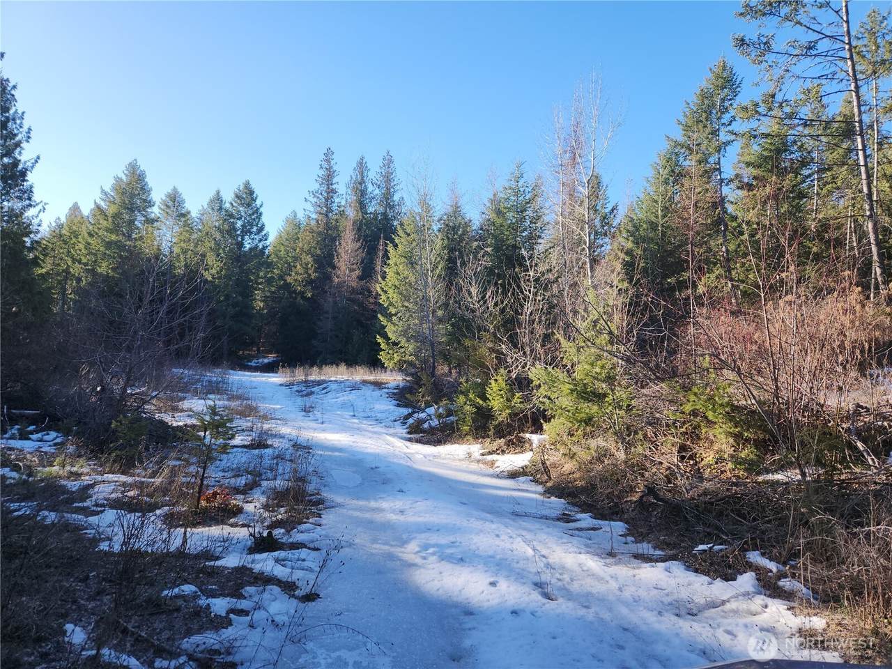 318 Rockabye Lane - Photo 1
