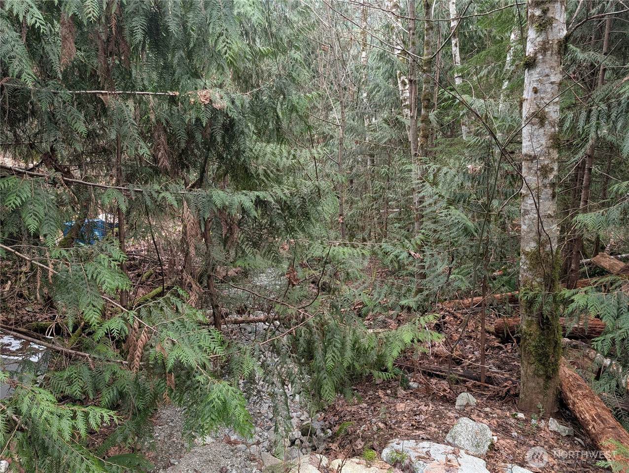 64062 Cascade River Rd - Photo 1