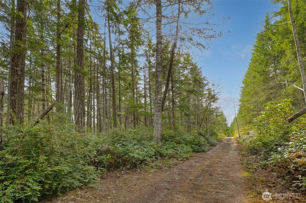 2 Larson Lane - Photo 1