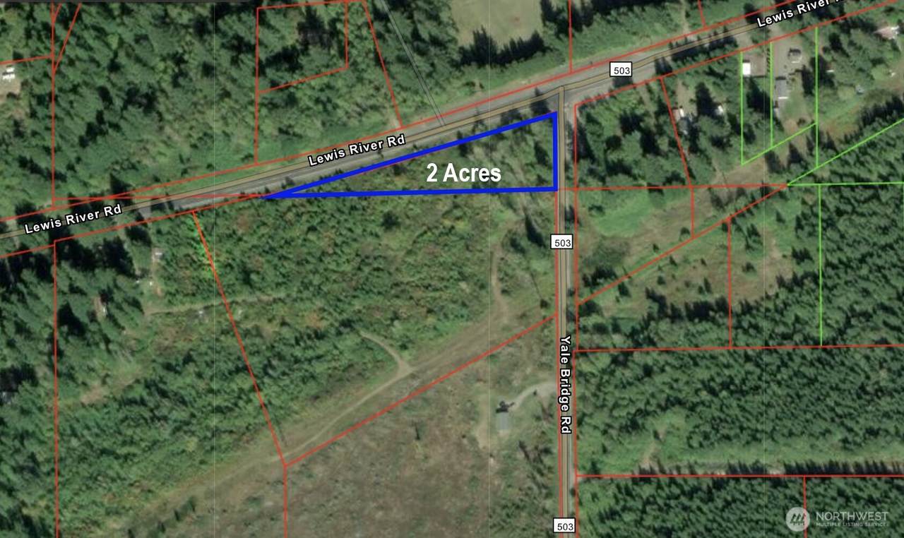 0 Lewis River Road - Photo 1