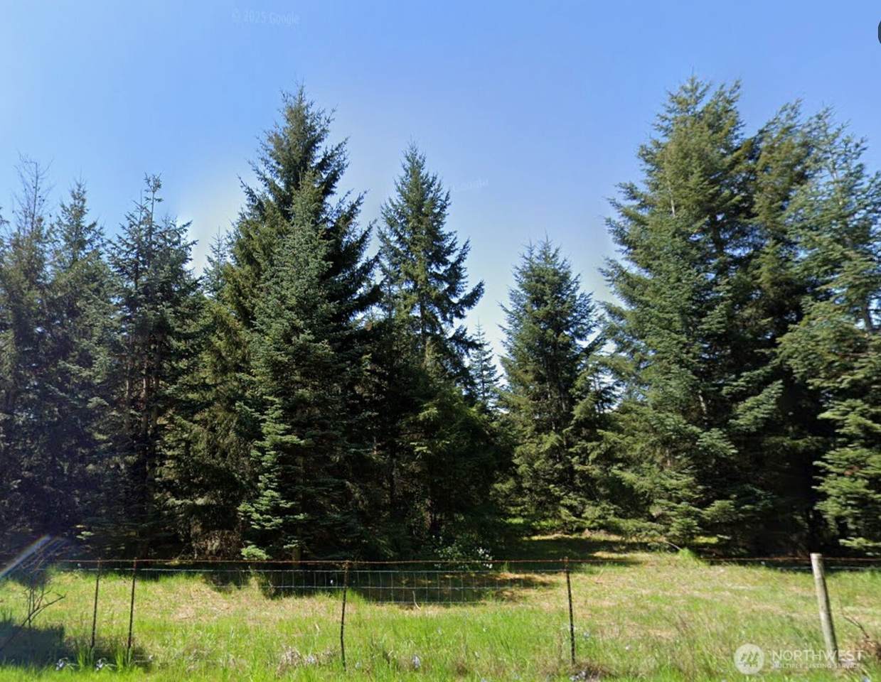 18601 Loganberry Street - Photo 1