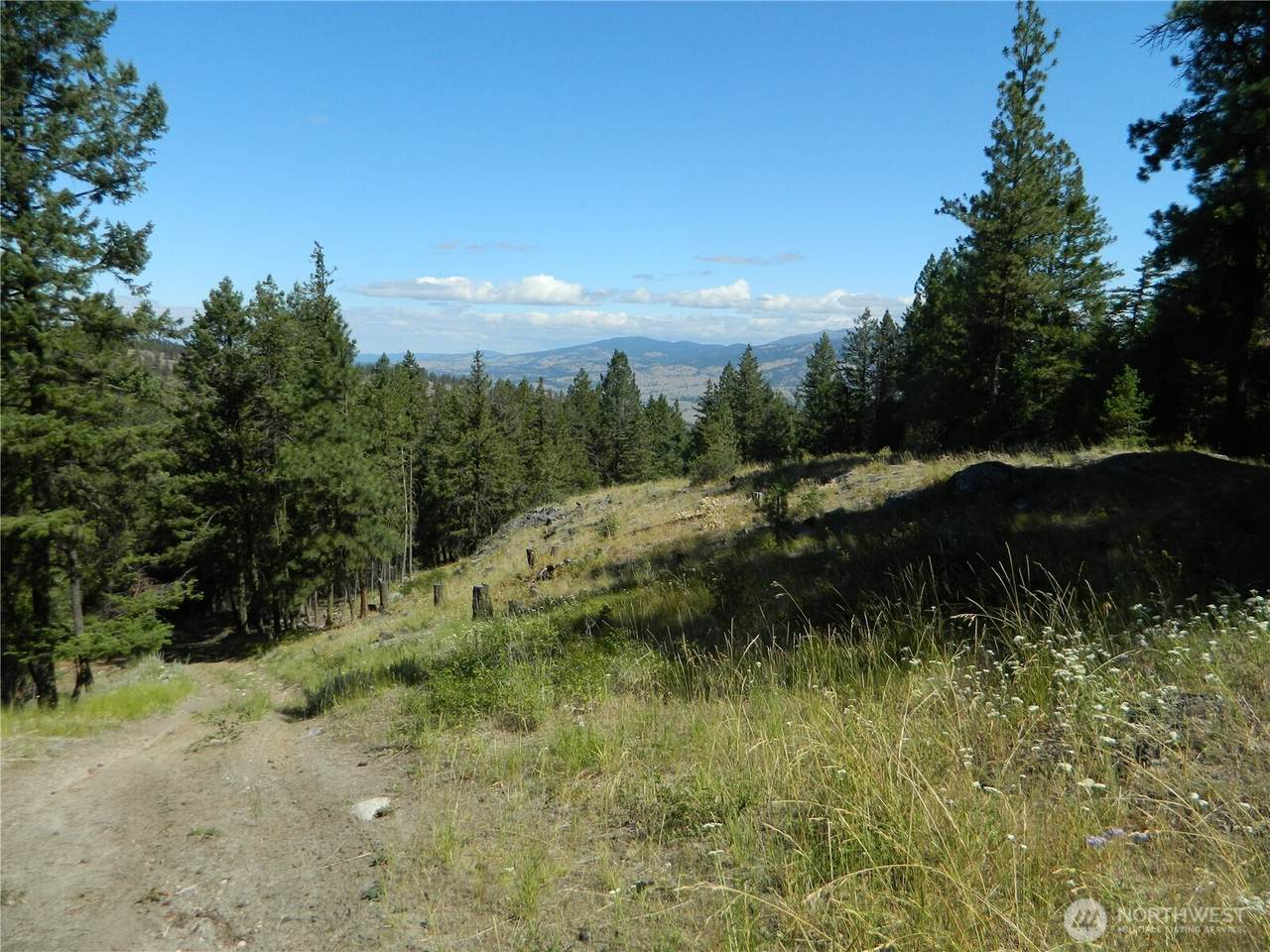 0 Tbd Snowbunny Ridge Drive - Photo 1