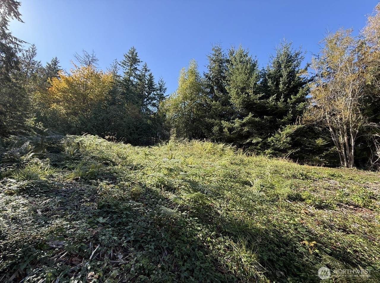 0 Chelsamish Drive - Photo 1