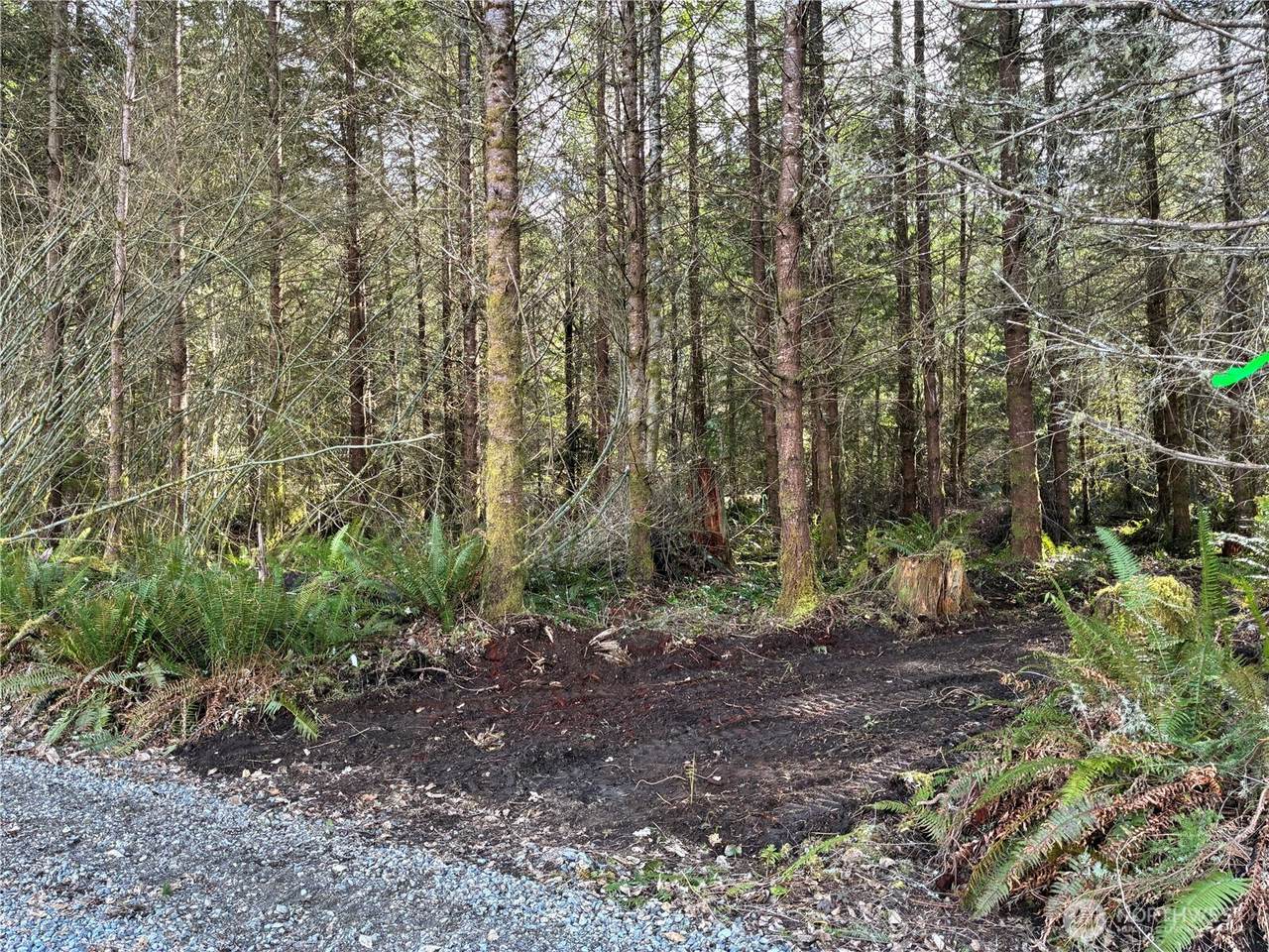 28840 Freelane Road - Photo 1