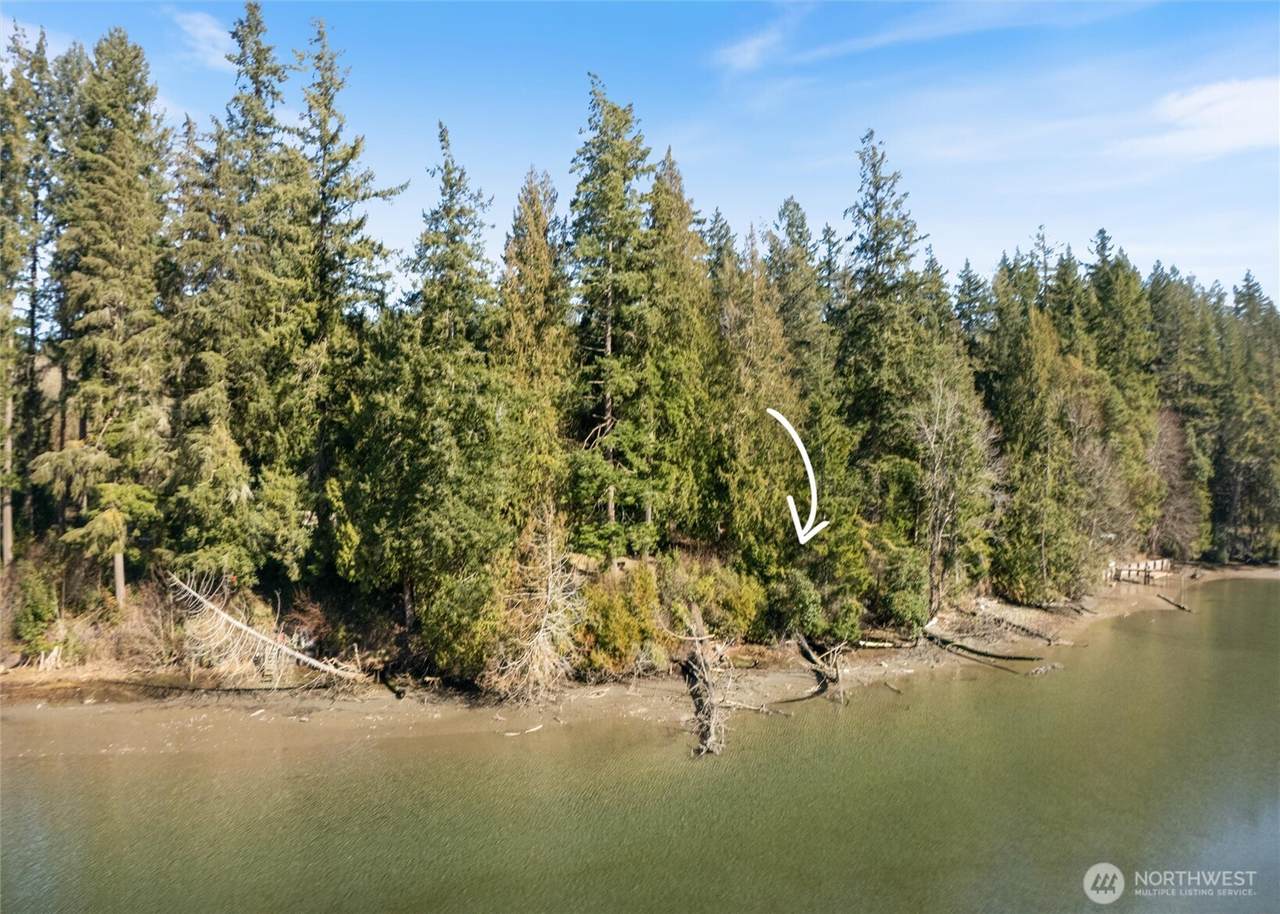 11648 Vipond Drive - Photo 1