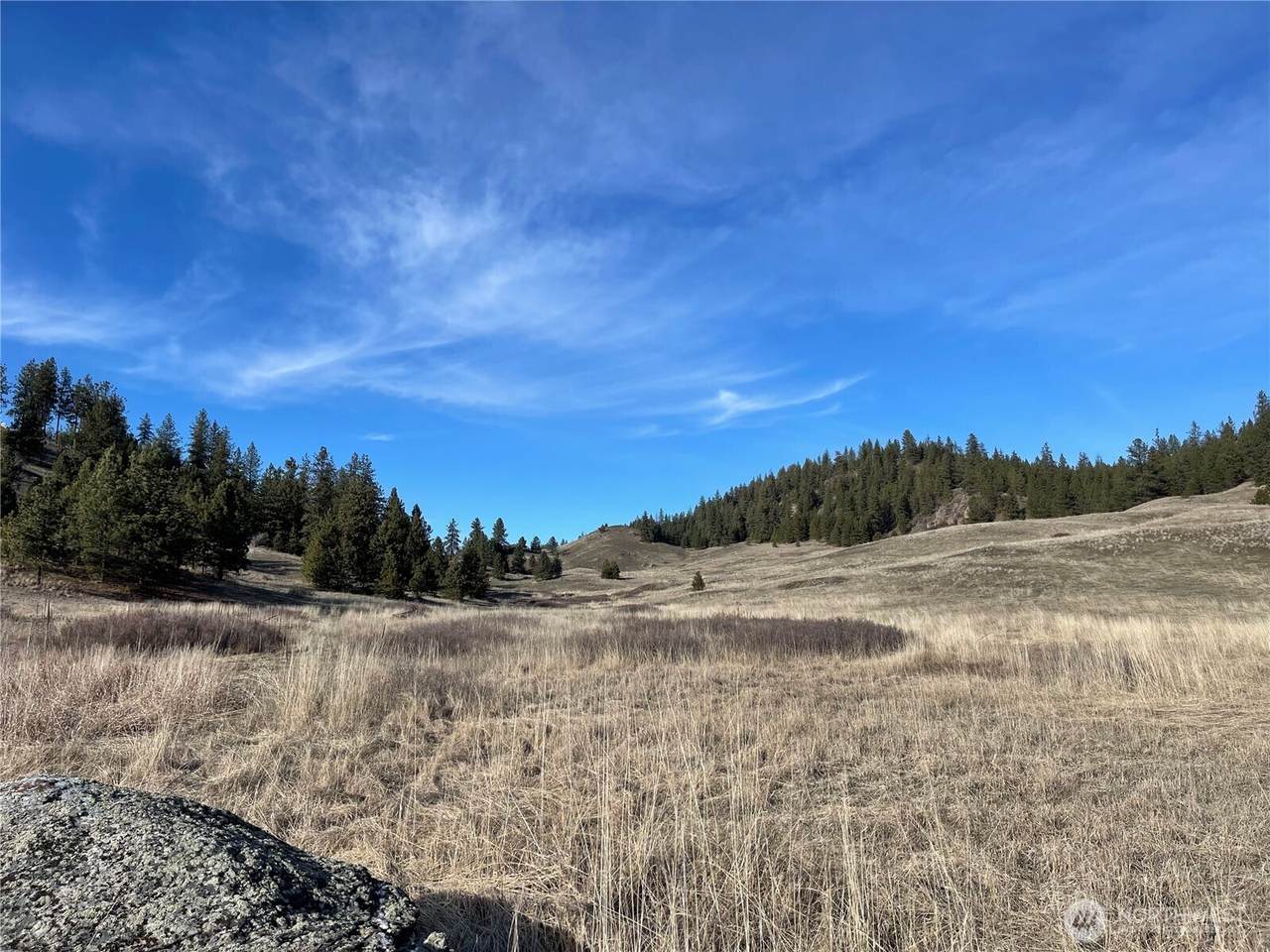 5170 Pheasant Way - Photo 1