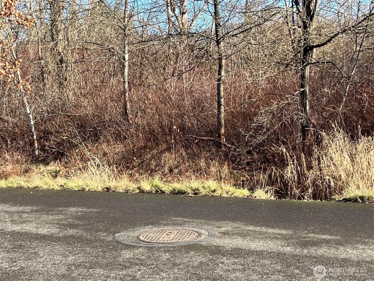 0 xx 266th Avenue - Photo 1