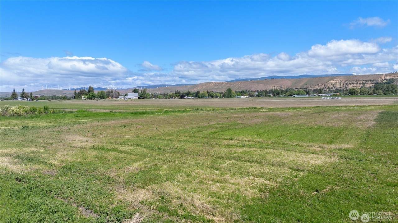 520 Thorp Landing Lane - Photo 1