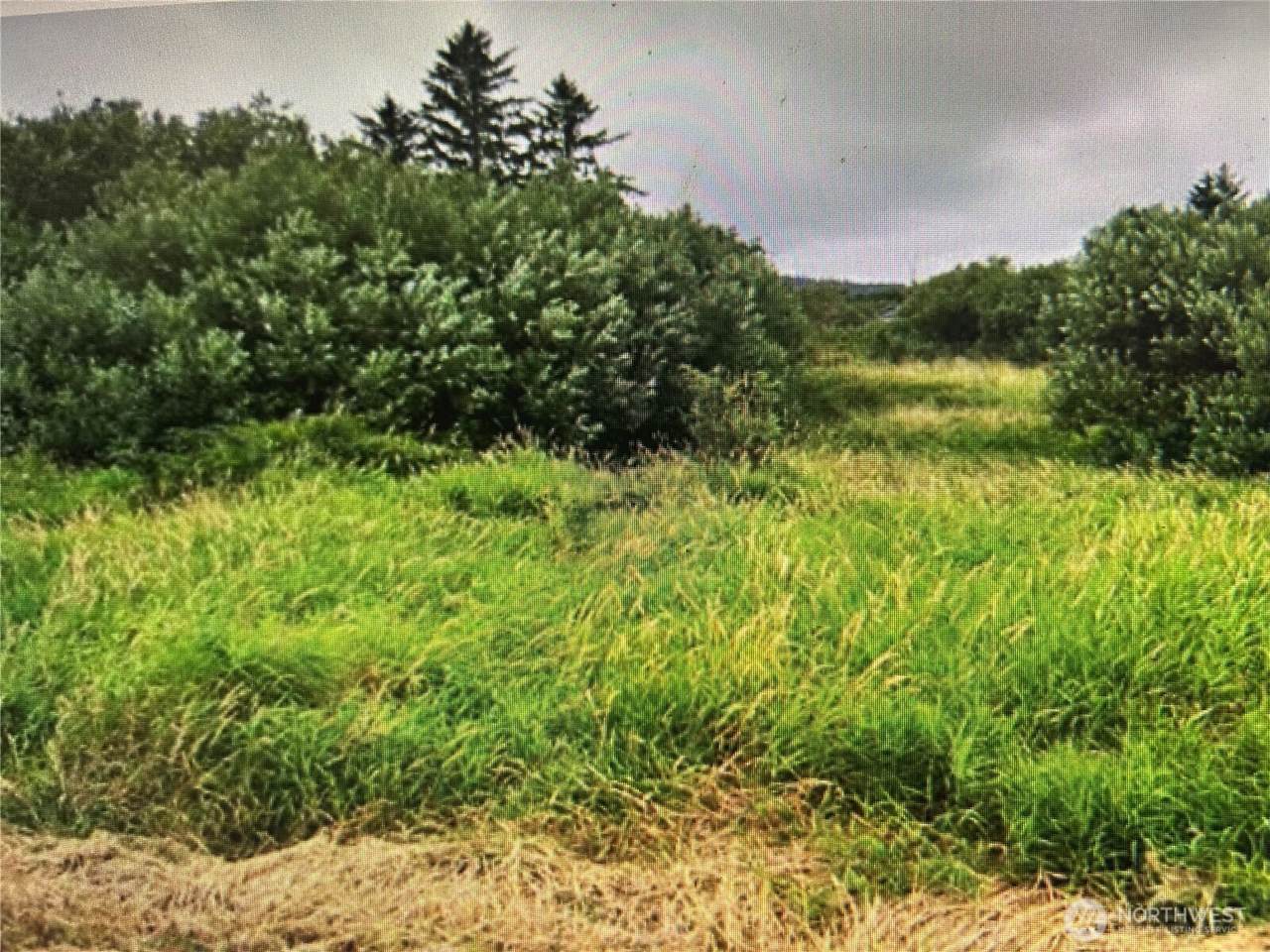258 Stringtown Road - Photo 1