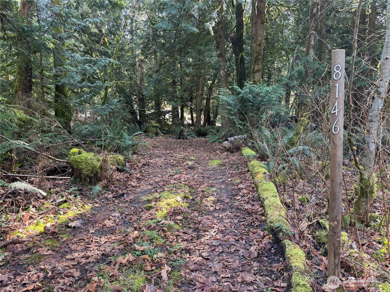 8146 Watkins Road - Photo 1