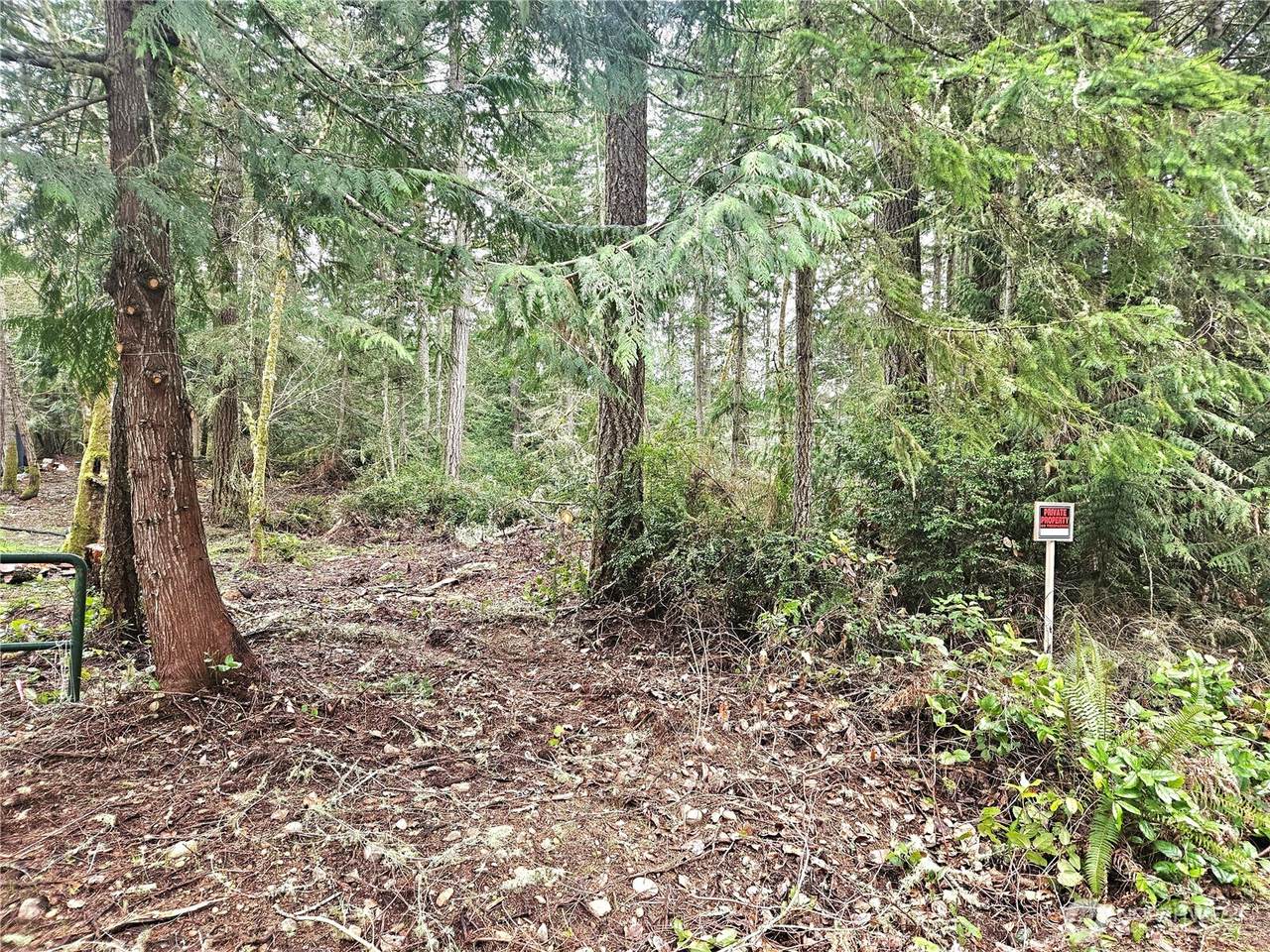 3 NKA Go Onna Drive - Photo 1