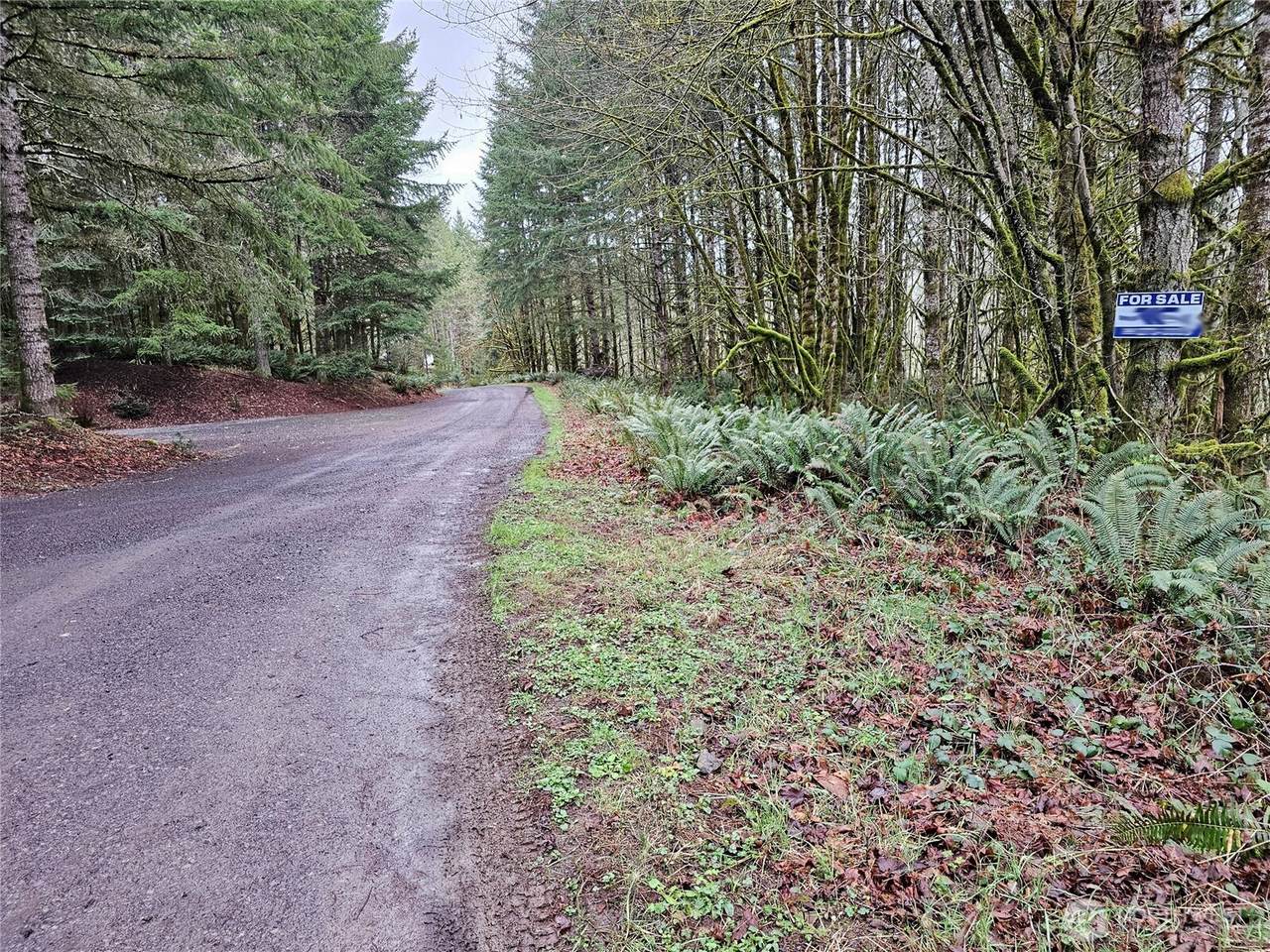 461 Clearwater Road - Photo 1