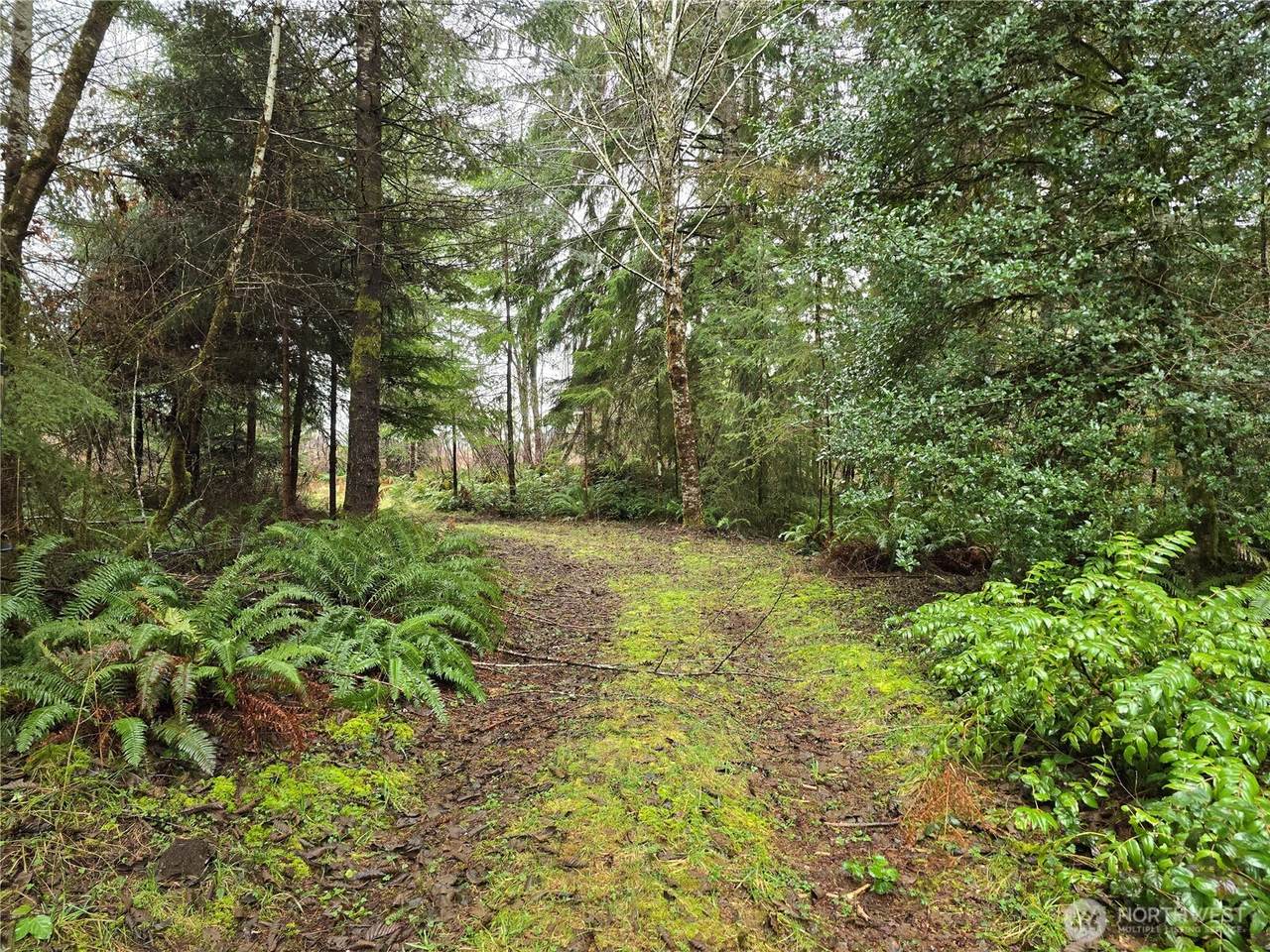 0 Lot 1&2 Elk Hill Road - Photo 1