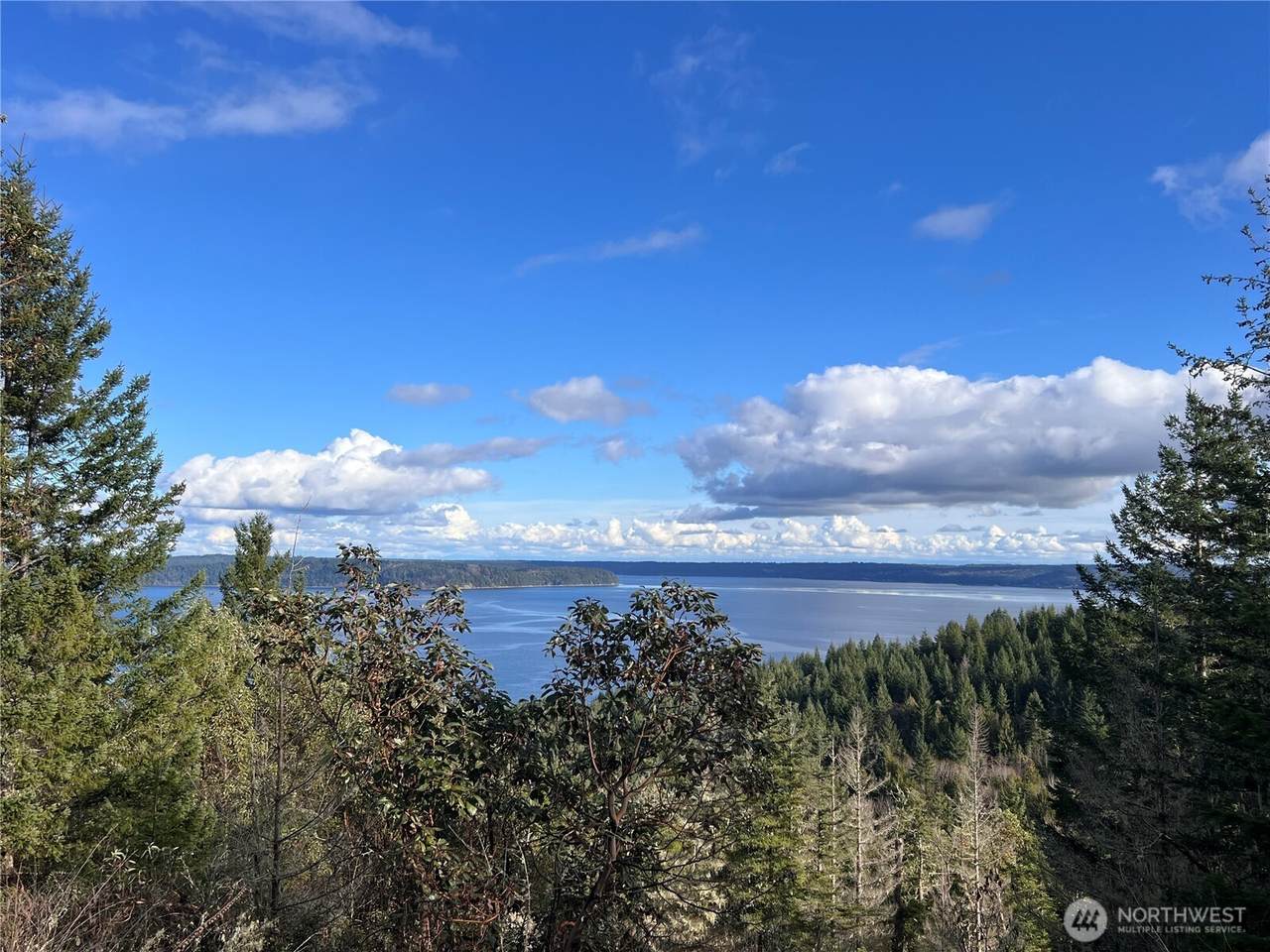 59 X Moose Mountain Road - Photo 1