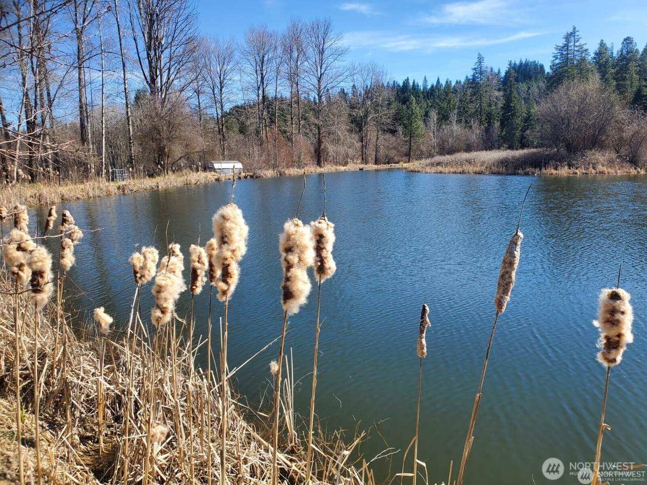 400 Three Lakes Road - Photo 1
