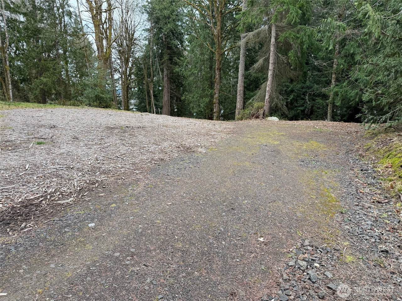 17680 Hallman Road - Photo 1