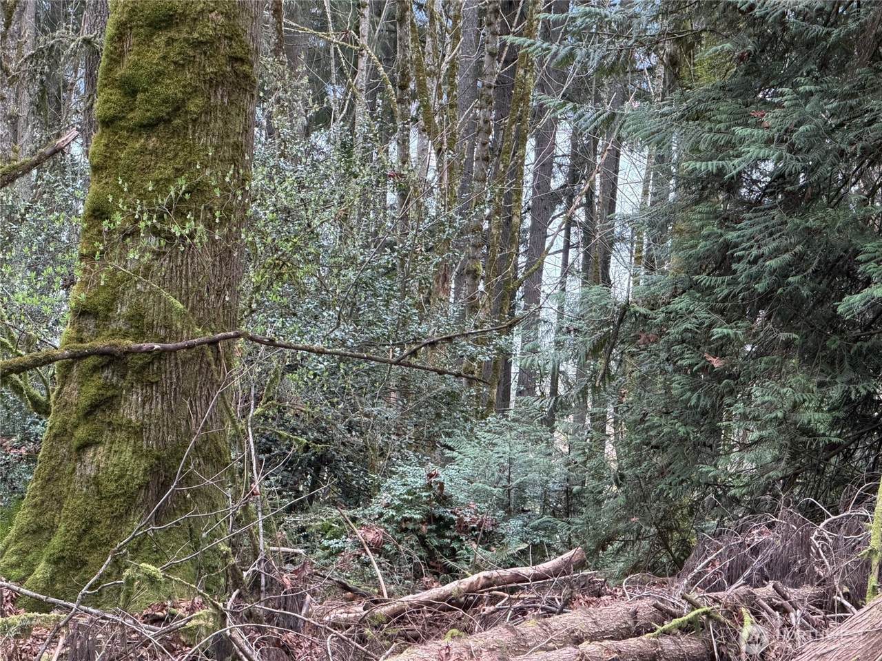 https://bt-photos.global.ssl.fastly.net/nwmls/1280_boomver_1_2489730-1.jpg