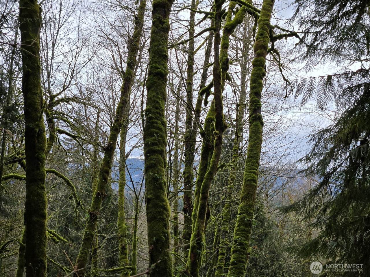 https://bt-photos.global.ssl.fastly.net/nwmls/1280_boomver_1_2489853-1.jpg